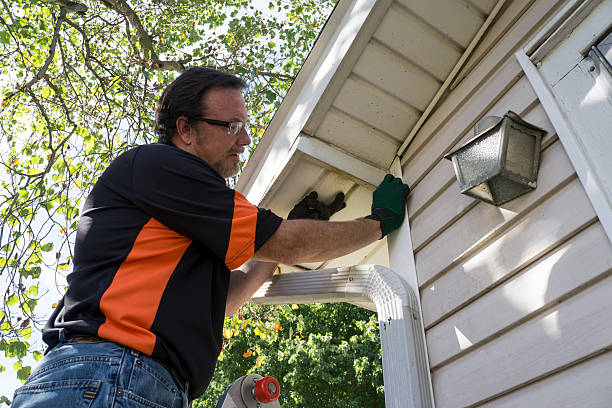 Best Shed Removal  in Wapakoneta, OH